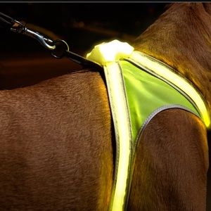 Noxgear LIGHT HOUND LED Harness Small